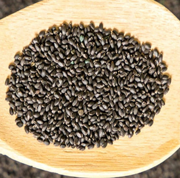 تخم خرفه دوی پک نیوشا (200 گرمی)